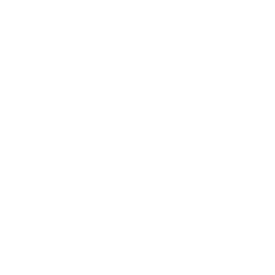 BlueLinx Holdings Inc.