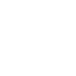 Cenntro Electric Group Limited