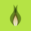 China Energy Recovery, Inc.