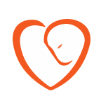 Global Cord Blood Corporation