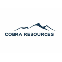 Cobra Resources plc