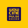 City Pulse Multiplex Limited