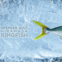 Clean Seas Seafood Limited