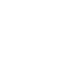 Torrid Holdings Inc.