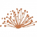 Caravel Minerals Limited
