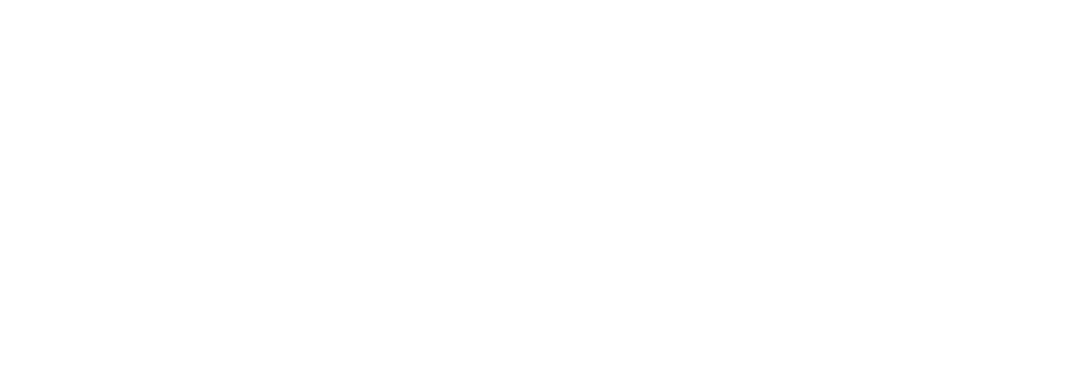 Dell Technologies Inc.