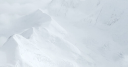 Denali Therapeutics Inc.