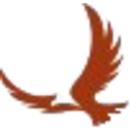 Falcon Capital Acquisition Corp.