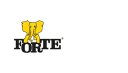 Fabryki Mebli FORTE S.A.