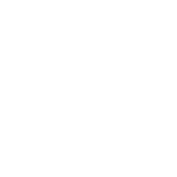 Gorilla Technology Group Inc.