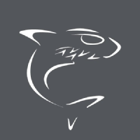 Haivision Systems Inc.