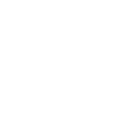 Icosavax, Inc.