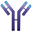Immunovant, Inc.