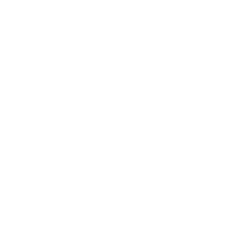 Samsara Inc.
