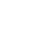 Lucid Group, Inc.
