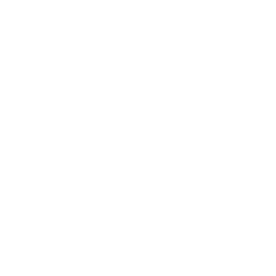 The Lion Electric Company