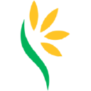 Lynch Group Holdings Limited