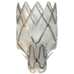 Pulmonx Corporation