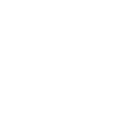 Nestlé India Limited
