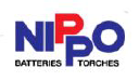 Indo National Limited