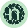 Novonesis (Novozymes) B