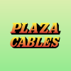 Plaza Wires Limited