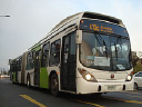 Marcopolo S.A.