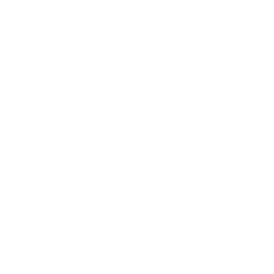 Splash Beverage Group, Inc.