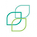 Scales Corporation Limited