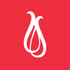 Senco Gold Limited