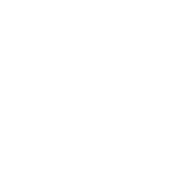 TAL Education Group