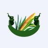 Tirupati Starch and Chemicals Limited