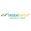 Trident Limited