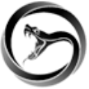 Viper Energy Partners LP