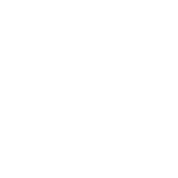 Vuzix Corporation