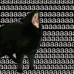 Aaa cat