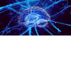 AB4AD (Antibodies for Alzheimer's Disease)