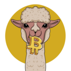 Alpaca