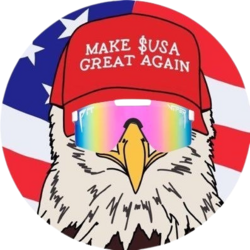 American Coin