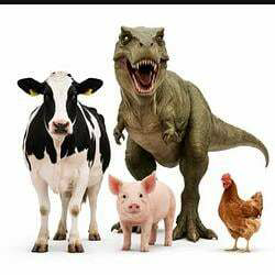 #animaltwt