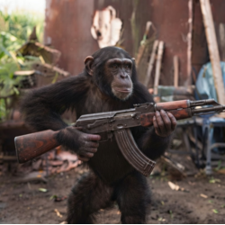 APE WITH GUN