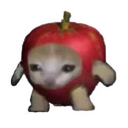 Apple Cat