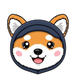 Asteroid Shiba