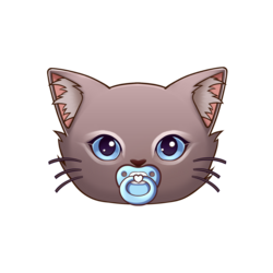 Baby Cat