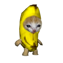 Banana cat