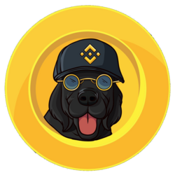 Binancedog