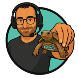 Bitcoin the Turtle