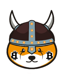 BitFloki