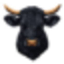 Black Agnus