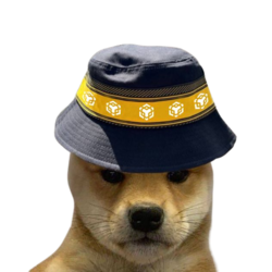 BNB DOGE